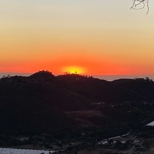 Meet your Posher, Momma